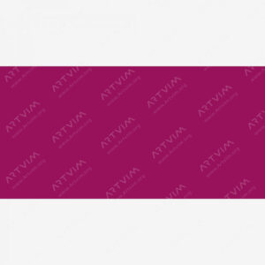 وینزور و نیوتن : مارکر براش پرومارکر : Maroon