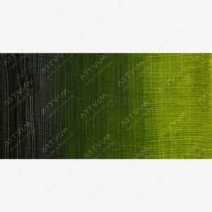 وینزور و نیوتن : رنگ روغن آرتیست : Sap Green