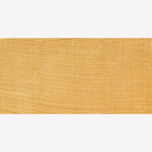 وینزور و نیوتن : رنگ روغن آرتیست : Gold