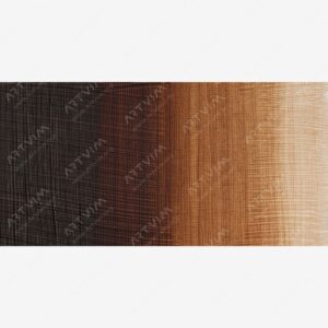 وینزور و نیوتن : رنگ روغن آرتیست : Burnt Umber