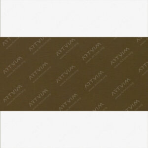 هولبین : جسوی اکریلیک رنگی : Raw Umber
