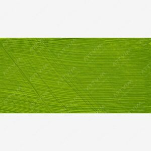 وینزور و نیوتن : رنگ روغن آرتیست : Cadmium Green Pale