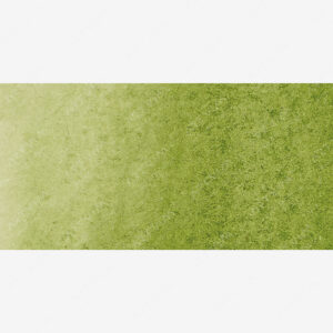 وینزور و نیوتن : مارکر آبرنگی : Sap Green