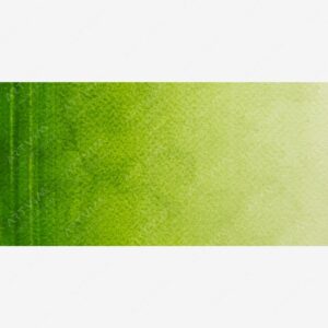وینزور و نیوتن : آبرنگ کاتمن : Sap Green