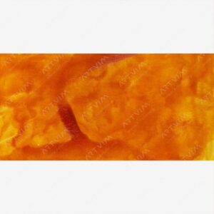 وینزور و نیوتن : جوهر طراحی و جوهر هندی : Sunshine Yellow