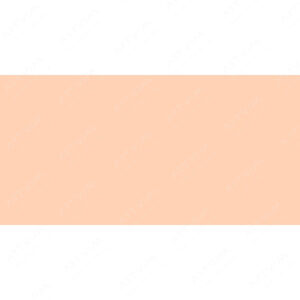 ولجیو : رنگ ایربراش آرتیست : Fleshtone (Caucasian)