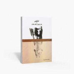 نشر بیهق کتاب : آناتومی برای هنرجویان و هنرمندان