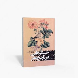 نشر پیکره : جستارهایی در تاریخ هنر