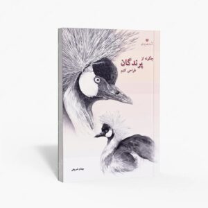 نشر یساولی : چگونه از پرندگان طراحی کنیم