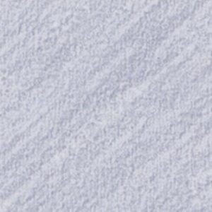 استابیلو : مداد پاستل کاربوتلو : Cold Grey No. 2
