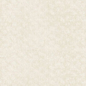 پن‌پاستل : پن پاستل آرتیست : Raw Umber Tint