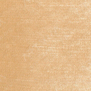 پن‌پاستل : پن پاستل آرتیست : Raw Sienna Light