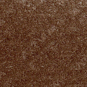 پن‌پاستل : پن پاستل آرتیست : Red Iron Oxide Extra Dark