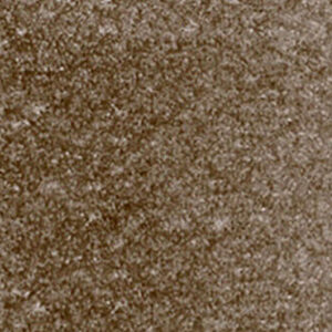 پن‌پاستل : پن پاستل آرتیست : Raw Umber