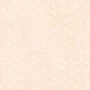 پن‌پاستل : پن پاستل آرتیست : Burnt Sienna Tint