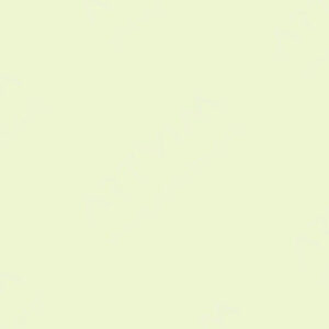 اسپیدبال : مرکب چاپ سیلک روی پارچه : Night-Glo Original