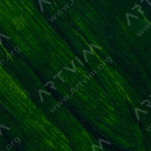 آر اند اف: قالب موم انکاستیک : Sap Green