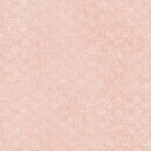 پن‌پاستل : پن پاستل آرتیست : Red Iron Oxide Tint