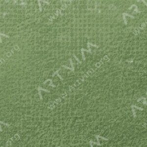 اشمینکه : پاستل‌ نرم آرتیست : Bohemian Green B