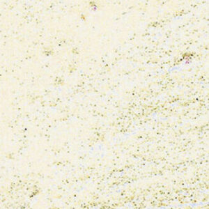 آر اند اف: قالب موم انکاستیک : Iridescent Pearl