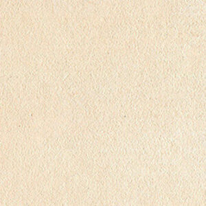 پن‌پاستل : پن پاستل آرتیست : Raw Sienna Tint