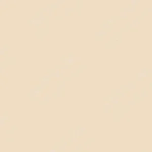مونتانا: اسپری اکریلیک گلد : Latte