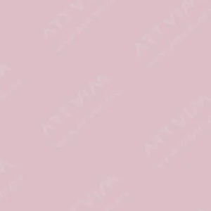 مونتانا: اسپری اکریلیک گلد : Babyskin (Caucasian)