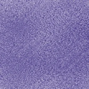 مونتانا: اسپری رنگ بلک : Royal Purple