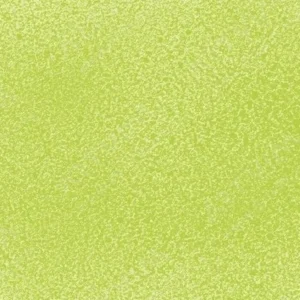 مونتانا: اسپری رنگ بلک : Wild Lime