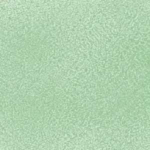 مونتانا: اسپری رنگ بلک : E2E Green