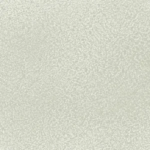 مونتانا: اسپری رنگ بلک : Trabi