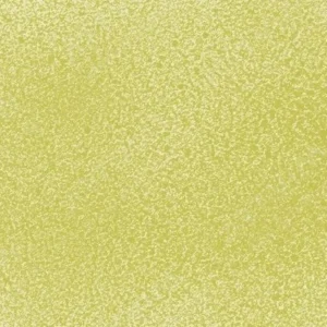مونتانا: اسپری رنگ بلک : Pear Green