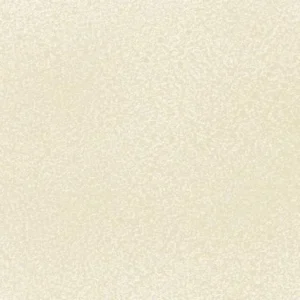 مونتانا: اسپری رنگ بلک : Ivory