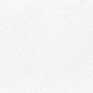 لیکوئیتکس : اسپری اکریلیک حرفه‌ای : Titanium White