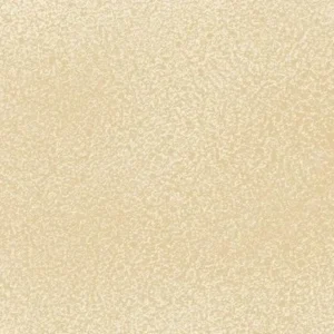 لیکوئیتکس : اسپری اکریلیک حرفه‌ای : Unbleached Titanium