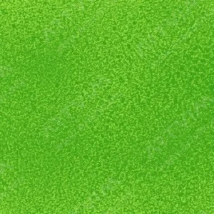 لیکوئیتکس : اسپری اکریلیک حرفه‌ای : Vivid Lime Green