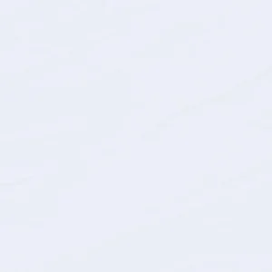 ولجیو : رنگ اکریلیک آرتیست : Titanium White Anastase