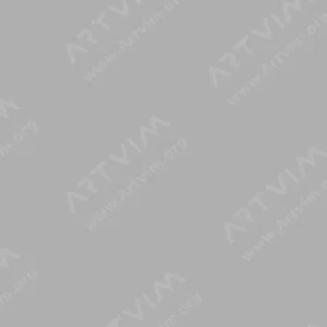 ولجیو : رنگ ایربراش آرتیست : Metallic Silver