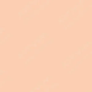 ولجیو : رنگ ایربراش آرتیست : Fleshtone (Caucasian)