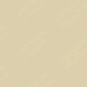 لیکوئیتکس : مارکر اکریلیک حرفه‌ای : Parchment