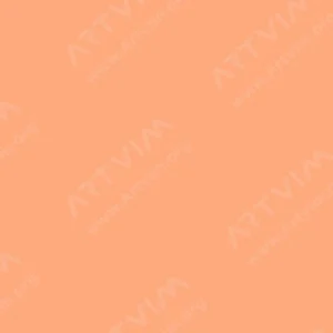 کاران‌داش : نئوپاستل آرتیست : Salmon