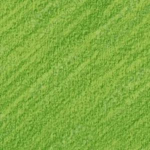 کاران‌داش : مداد پاستل : Light Olive 40 Percent