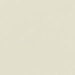 کاران‌داش : مداد نرم آبرنگی آرتیست سوپراکالر : Light Beige