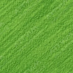 کنته پاریس : مداد پاستل : Olive Green