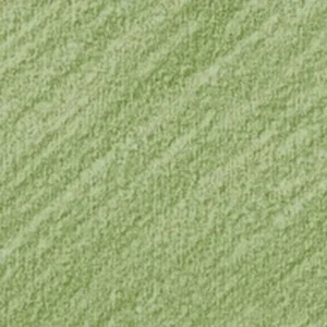 کنته پاریس : مداد پاستل : Grey Green