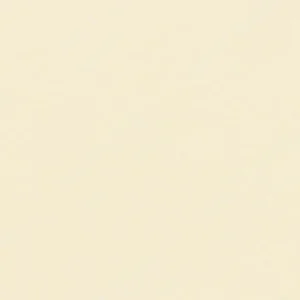 فابر کاستل : مداد آبرنگی آلبرشت دورر : Ivory