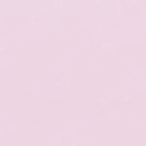 کرتاکالر : زغال طراحی : English Rose