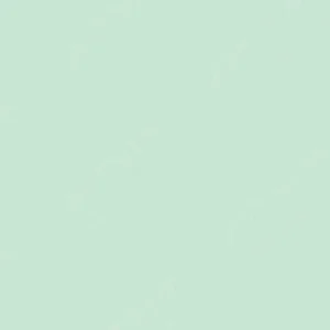 شین‌هان : مارکر براش دوسر تاچ : Jade Green : B171