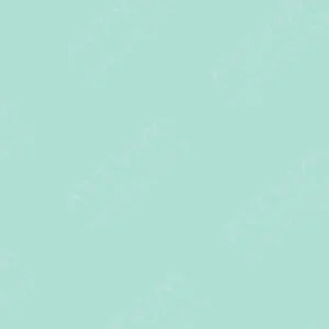 شین‌هان : مارکر براش دوسر تاچ : Aqua Mint : BG179