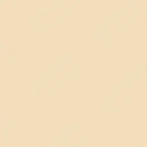 شین‌هان : مارکر براش دوسر تاچ : Peanut : Br113